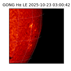gong - 2025-10-23T03:00:42