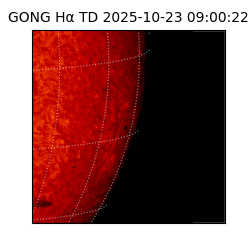 gong - 2025-10-23T09:00:22