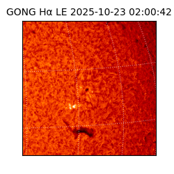 gong - 2025-10-23T02:00:42