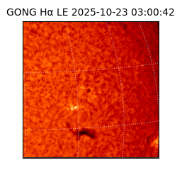 gong - 2025-10-23T03:00:42