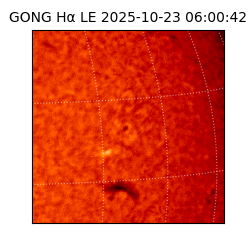 gong - 2025-10-23T06:00:42