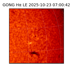 gong - 2025-10-23T07:00:42