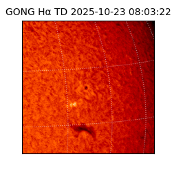 gong - 2025-10-23T08:03:22