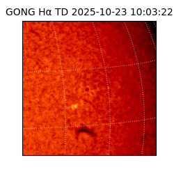 gong - 2025-10-23T10:03:22