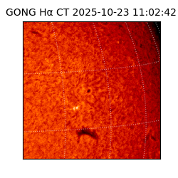 gong - 2025-10-23T11:02:42