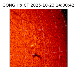 gong - 2025-10-23T14:00:42
