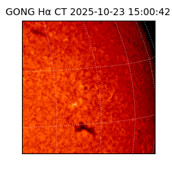 gong - 2025-10-23T15:00:42