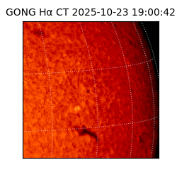 gong - 2025-10-23T19:00:42