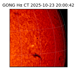 gong - 2025-10-23T20:00:42