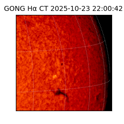 gong - 2025-10-23T22:00:42