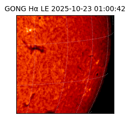 gong - 2025-10-23T01:00:42