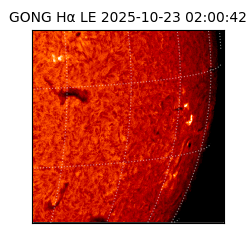 gong - 2025-10-23T02:00:42