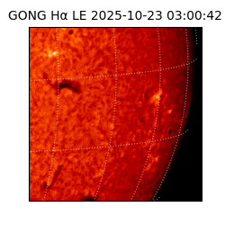 gong - 2025-10-23T03:00:42