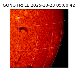 gong - 2025-10-23T05:00:42