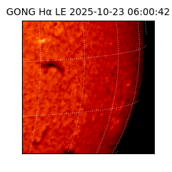 gong - 2025-10-23T06:00:42
