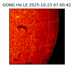 gong - 2025-10-23T07:00:42