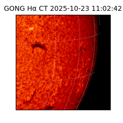 gong - 2025-10-23T11:02:42