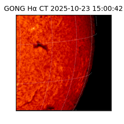 gong - 2025-10-23T15:00:42