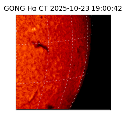 gong - 2025-10-23T19:00:42