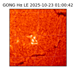 gong - 2025-10-23T01:00:42