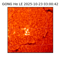 gong - 2025-10-23T03:00:42