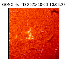 gong - 2025-10-23T10:03:22