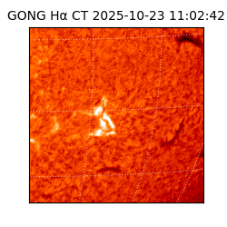 gong - 2025-10-23T11:02:42