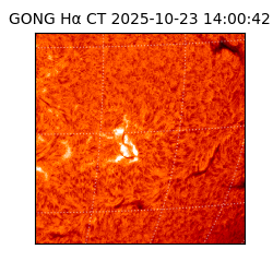 gong - 2025-10-23T14:00:42