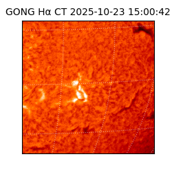 gong - 2025-10-23T15:00:42