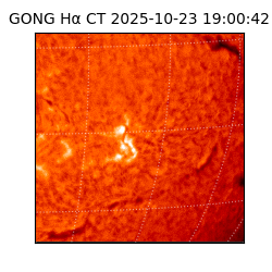 gong - 2025-10-23T19:00:42