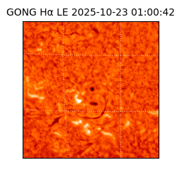 gong - 2025-10-23T01:00:42