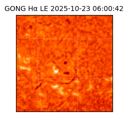 gong - 2025-10-23T06:00:42