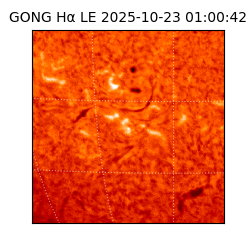 gong - 2025-10-23T01:00:42