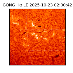 gong - 2025-10-23T02:00:42