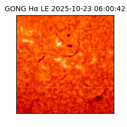 gong - 2025-10-23T06:00:42