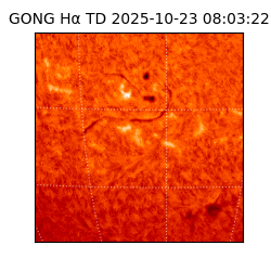 gong - 2025-10-23T08:03:22