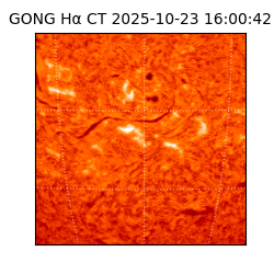 gong - 2025-10-23T16:00:42