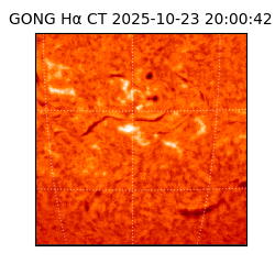 gong - 2025-10-23T20:00:42