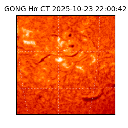 gong - 2025-10-23T22:00:42