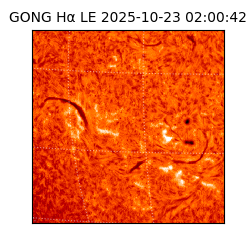 gong - 2025-10-23T02:00:42