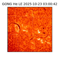 gong - 2025-10-23T03:00:42