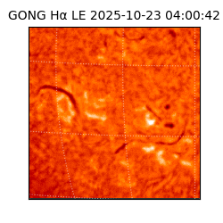 gong - 2025-10-23T04:00:42