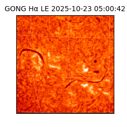 gong - 2025-10-23T05:00:42