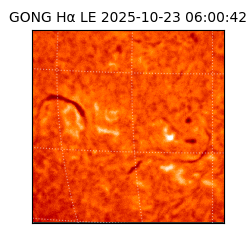 gong - 2025-10-23T06:00:42