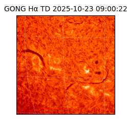 gong - 2025-10-23T09:00:22