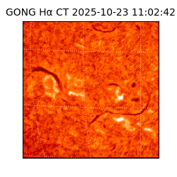 gong - 2025-10-23T11:02:42