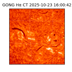 gong - 2025-10-23T16:00:42