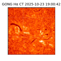 gong - 2025-10-23T19:00:42