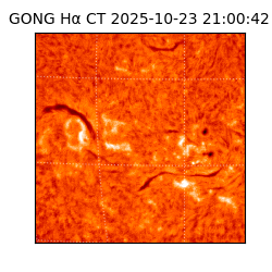 gong - 2025-10-23T21:00:42