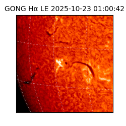 gong - 2025-10-23T01:00:42